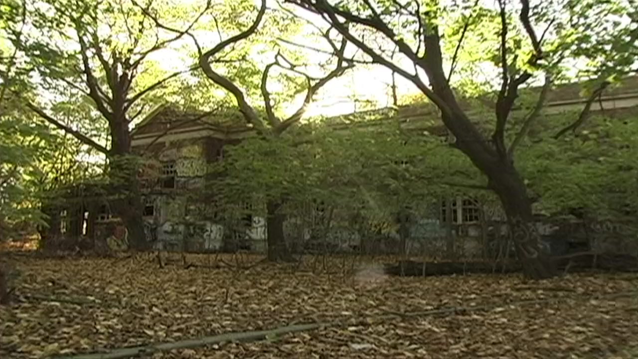 Cropsey screenshot 2