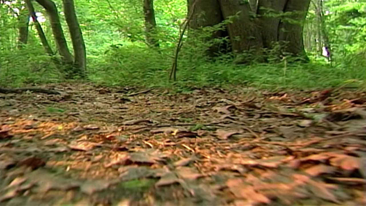 Cropsey screenshot 3