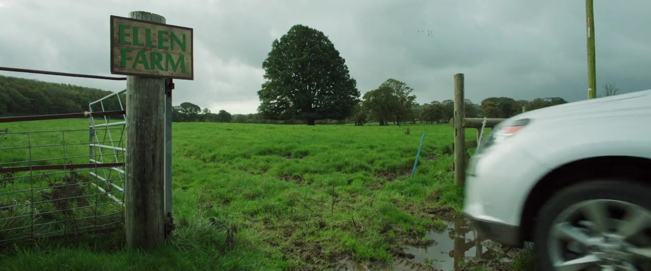 Crow screenshot 3