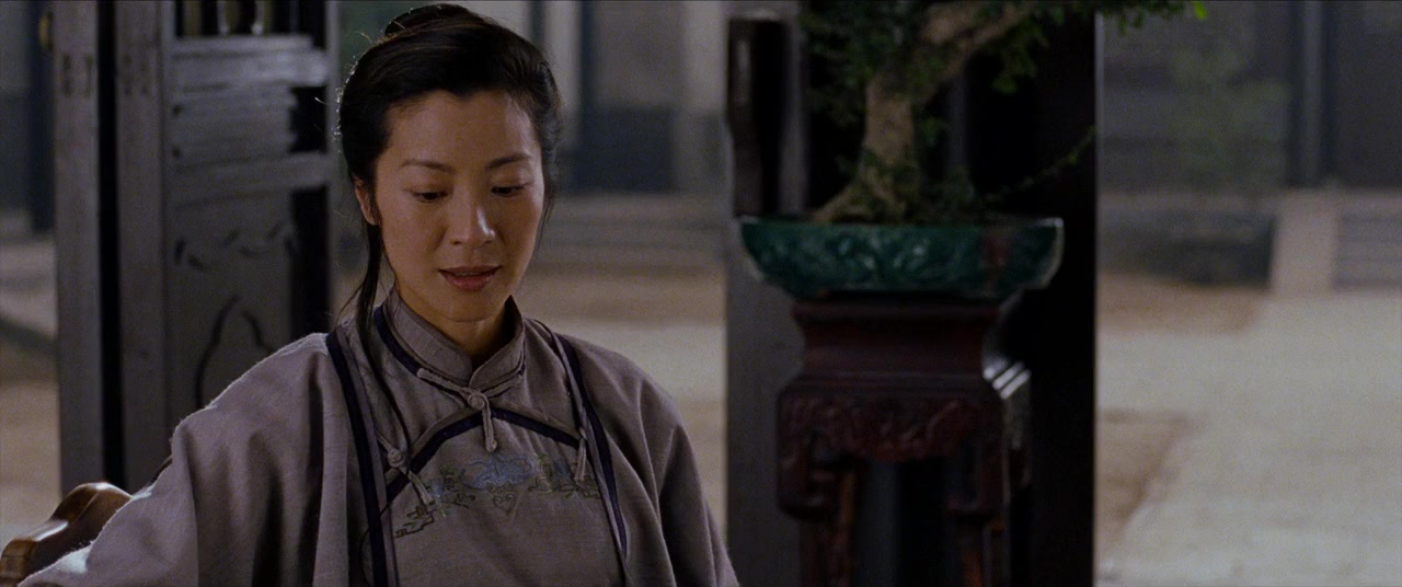 Wo hu cang long screenshot 3