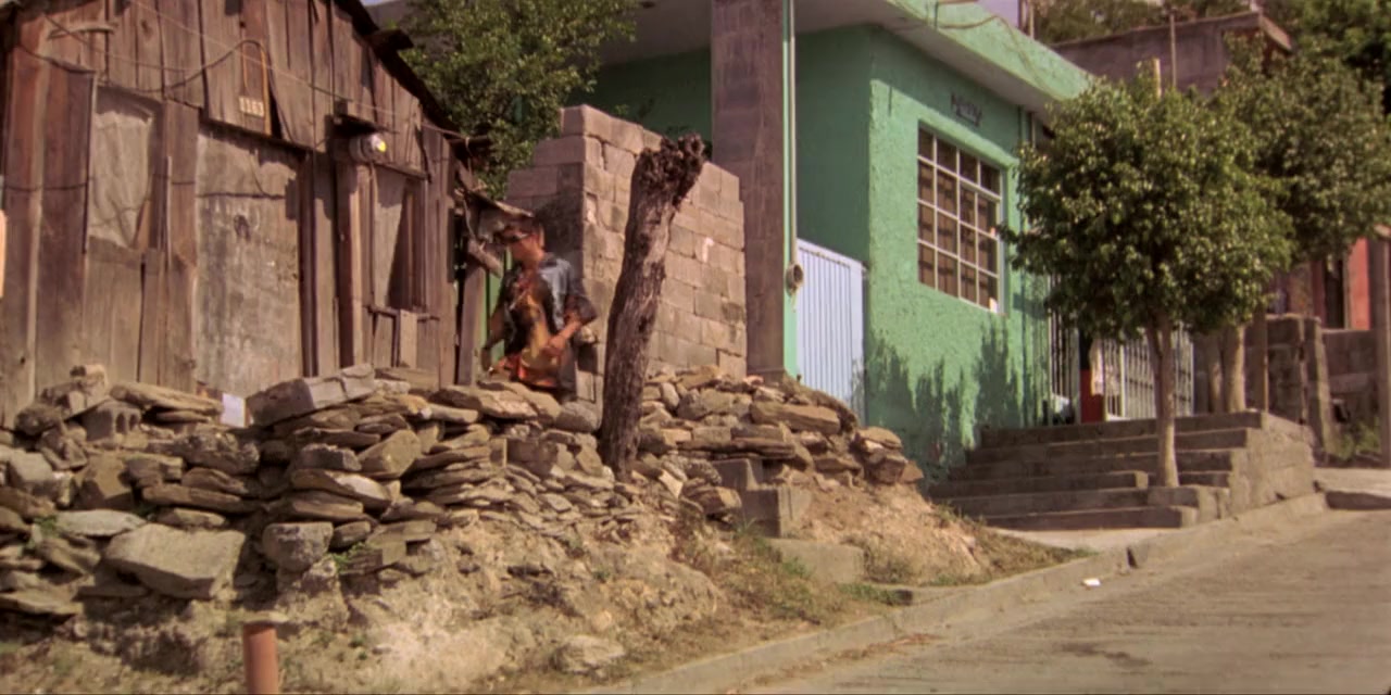 Cumbia callera screenshot 1