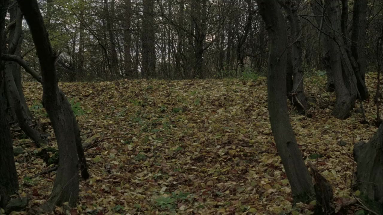Cyclops screenshot 1