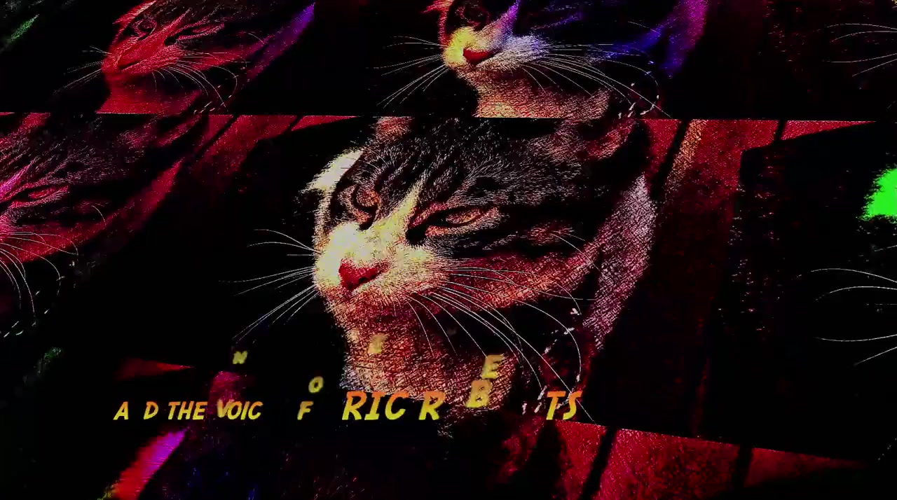 A Talking Cat!?! screenshot 3