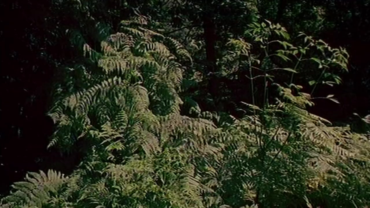 A Technicolor Dream screenshot 2