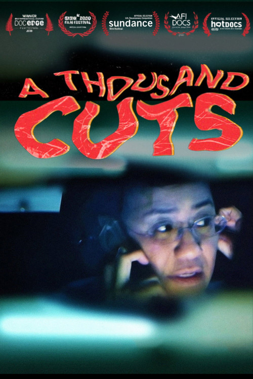 A Thousand Cuts (2020) poster