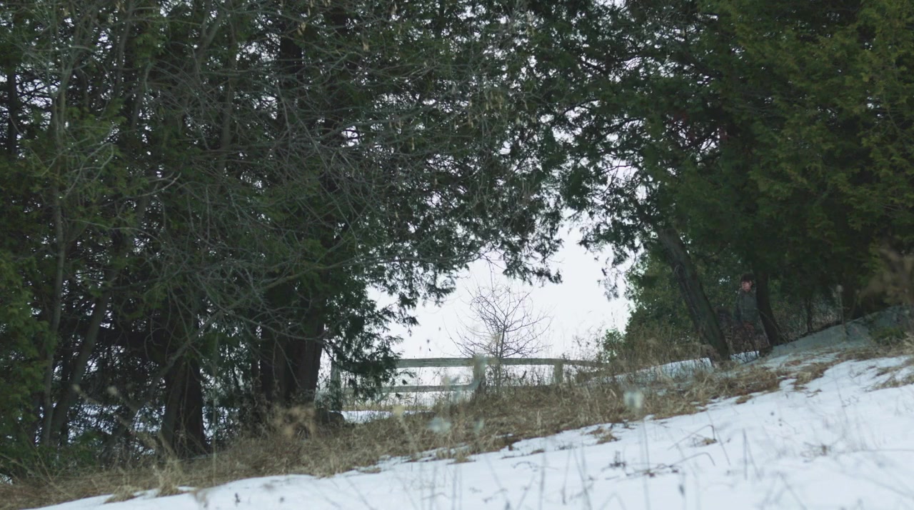 A Very Country Christmas: Homecoming screenshot 1