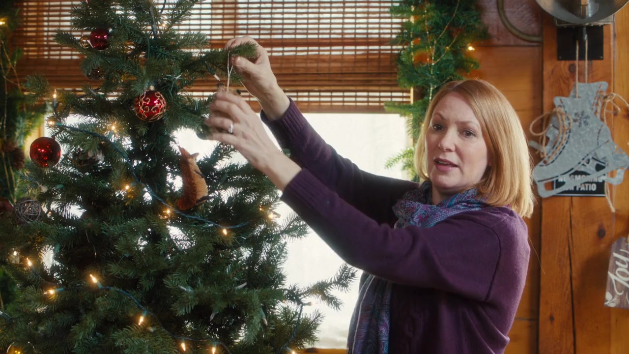 A Very Vermont Christmas screenshot 1