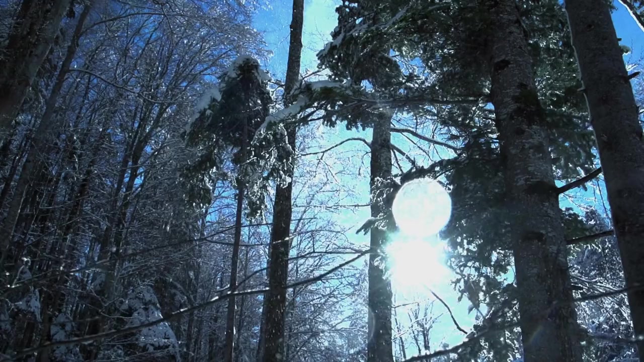 A Winter Wedding screenshot 1