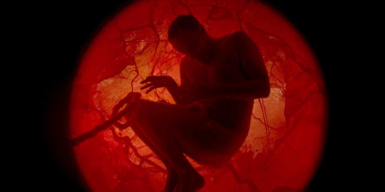 A Whole Lifetime with Jamie Demetriou screenshot 2
