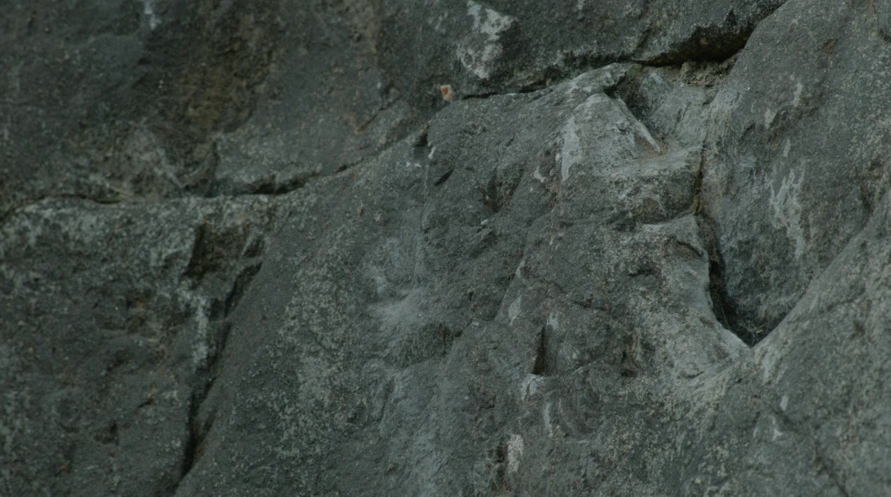 Evidence of Truth screenshot 2