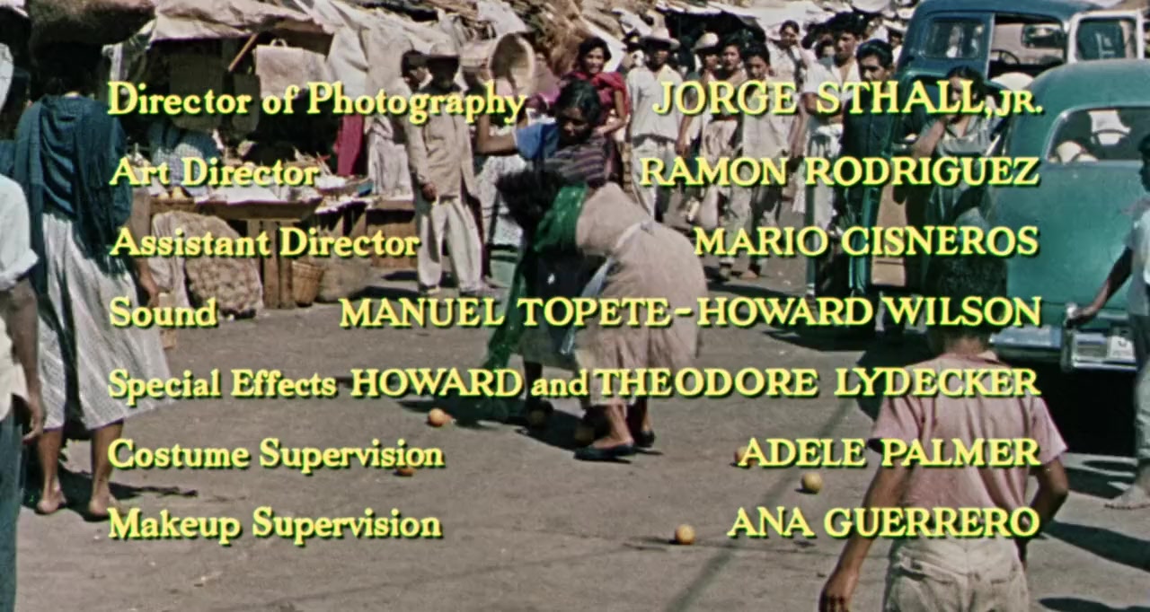 A Woman's Devotion screenshot 2