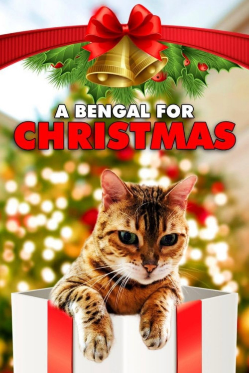 A Bengal for Christmas (2023) poster