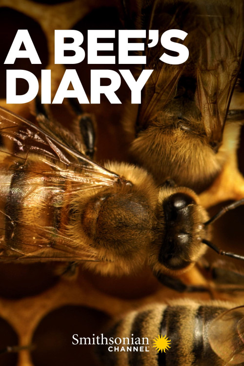 A Bee's Diary (2022) poster