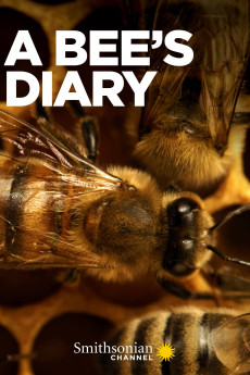 A Bee's Diary (2022) poster