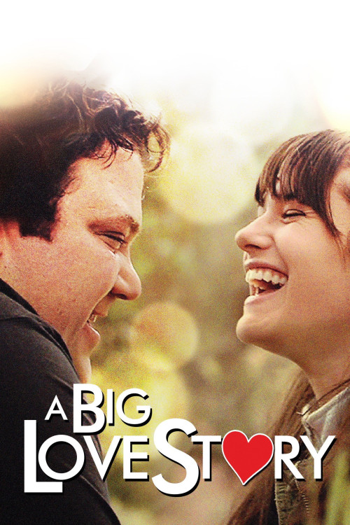 A Big Love Story (2012) poster