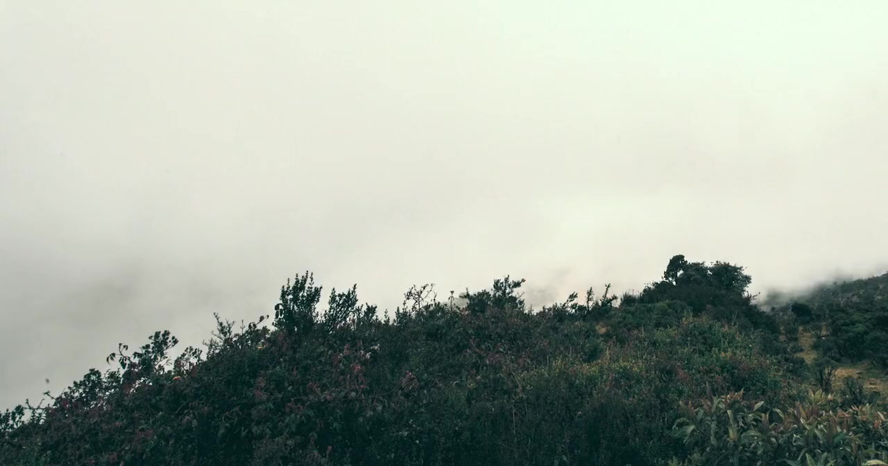 A Billion Lives screenshot 1