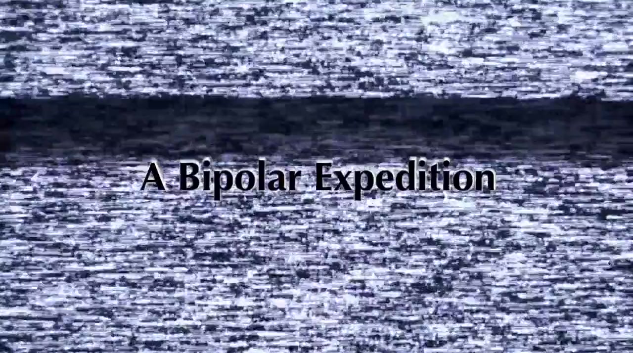 A Bipolar Expedition screenshot 1