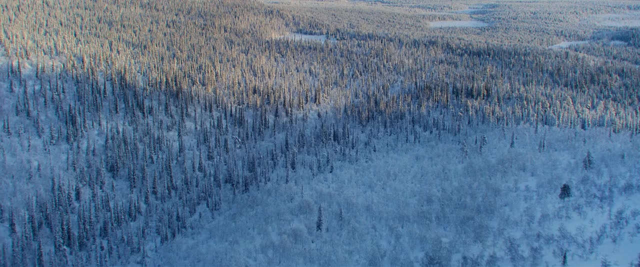 A Boy Called Christmas screenshot 1