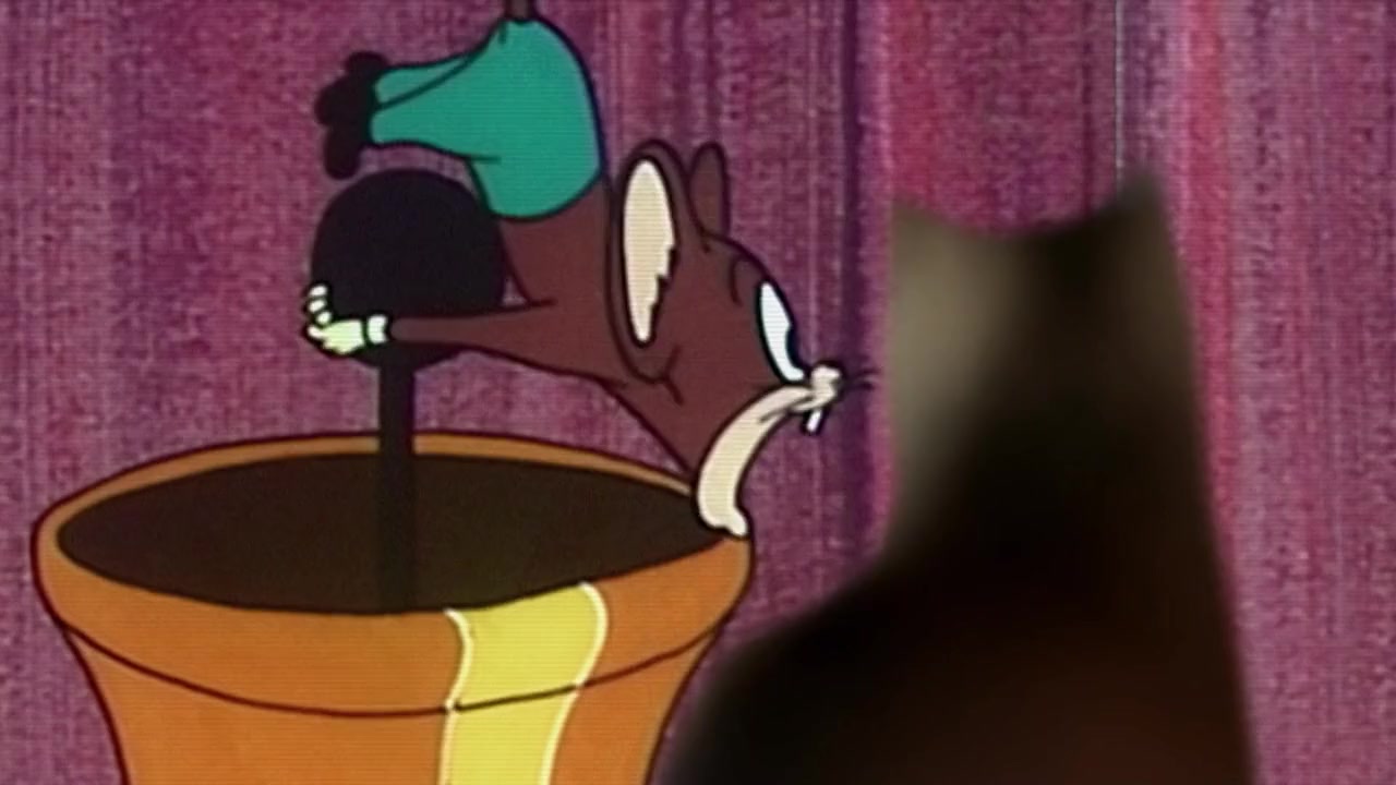 Le jeu du chat et de la souris screenshot 3