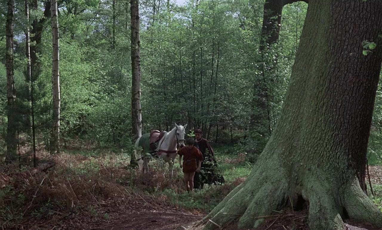 A Challenge for Robin Hood screenshot 1