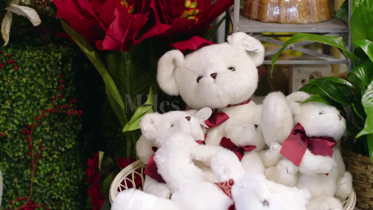 A Christmas Arrangement screenshot 3