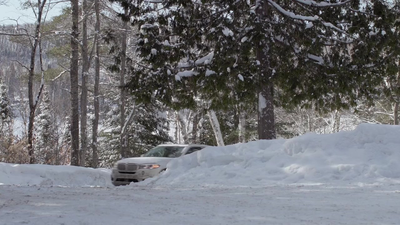 Merry Swissmas screenshot 1