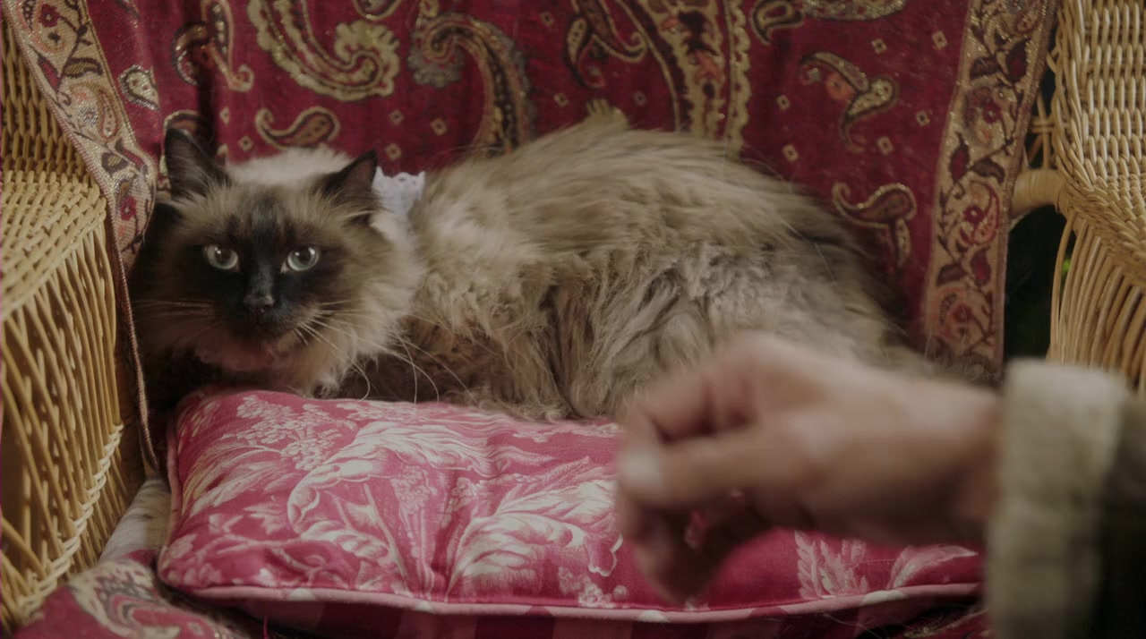 A Christmas to Remember screenshot 2