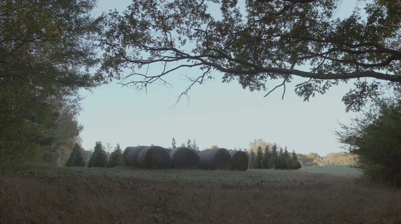 A Christmas Tree Love Story screenshot 2