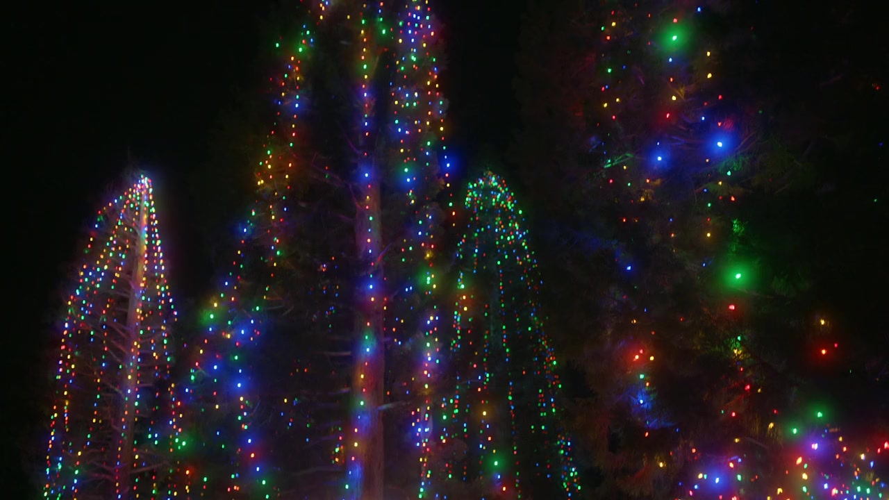 A Country Christmas Harmony screenshot 1