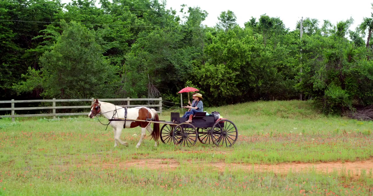 A Cowgirl's Song screenshot 1