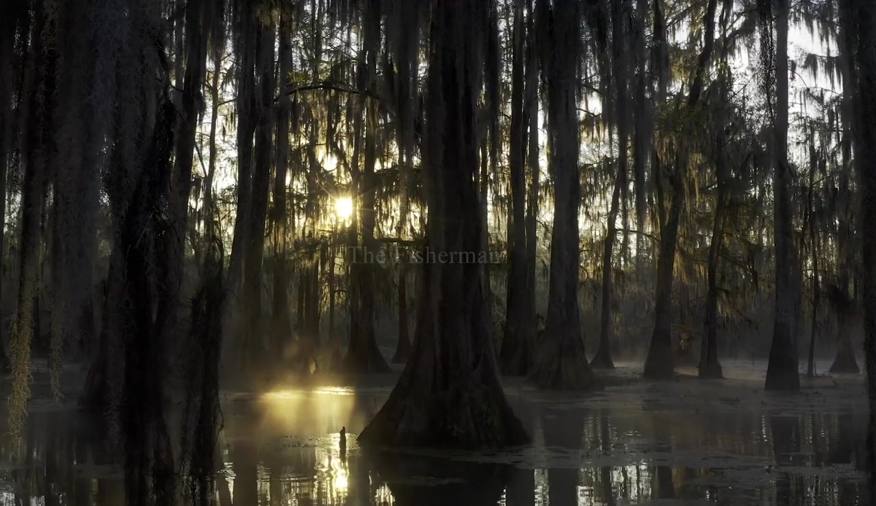 A Crime on the Bayou screenshot 3