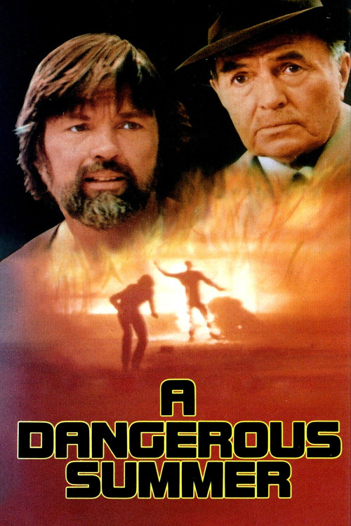 A Dangerous Summer (1982) poster