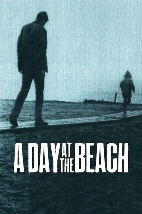 A Day at the Beach (1970) poster