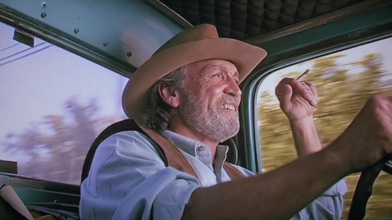 A Day Without a Mexican screenshot 3