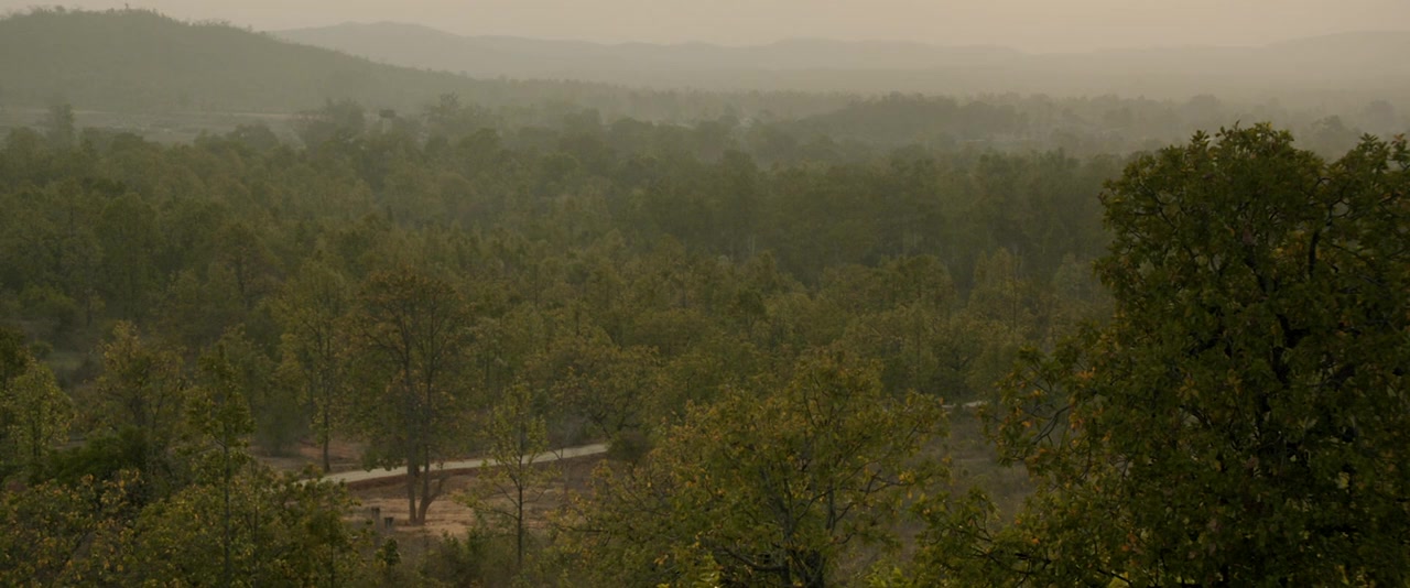 A Death in the Gunj screenshot 2
