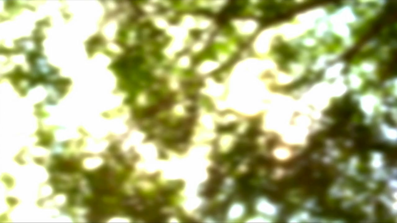 A Dead Calling screenshot 3