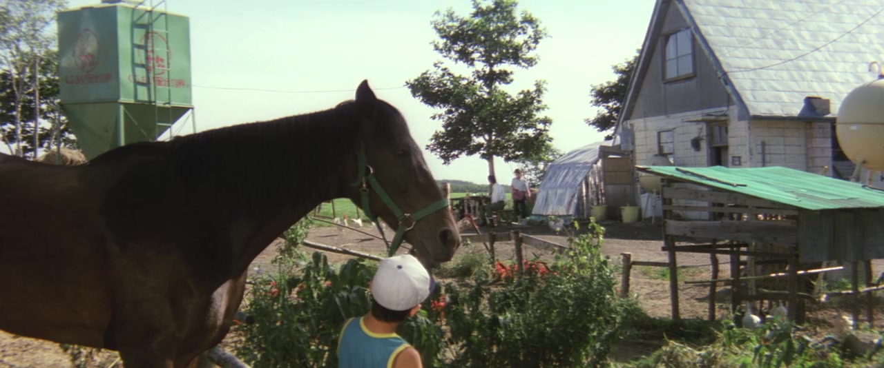 Haruka naru yama no yobigoe screenshot 2