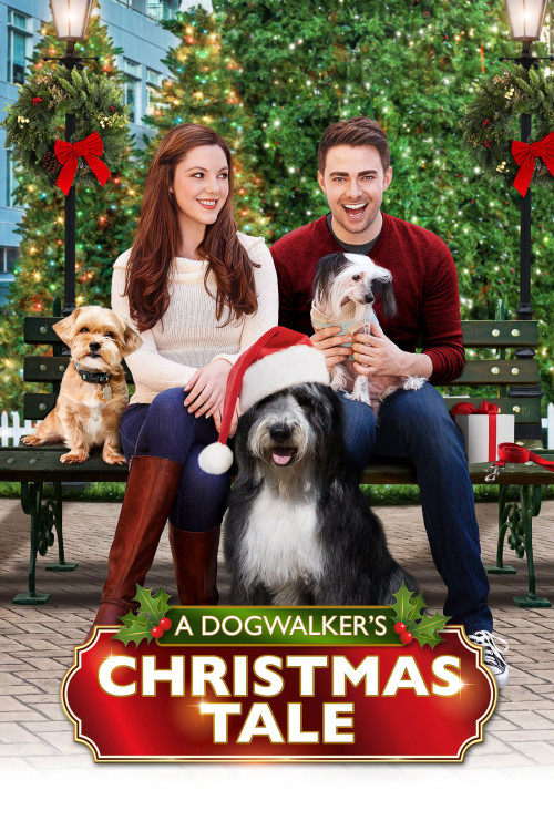 A Dogwalker's Christmas Tale (2015) poster
