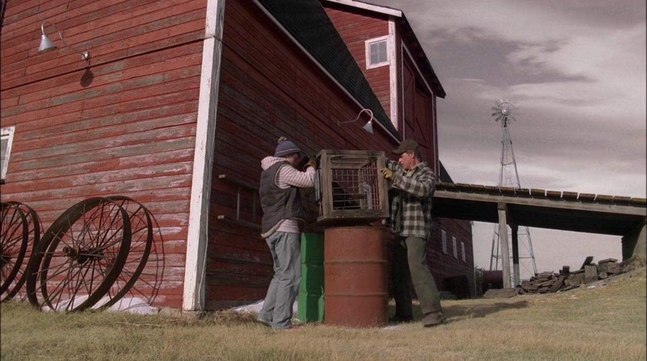 A Dog Named Christmas screenshot 3