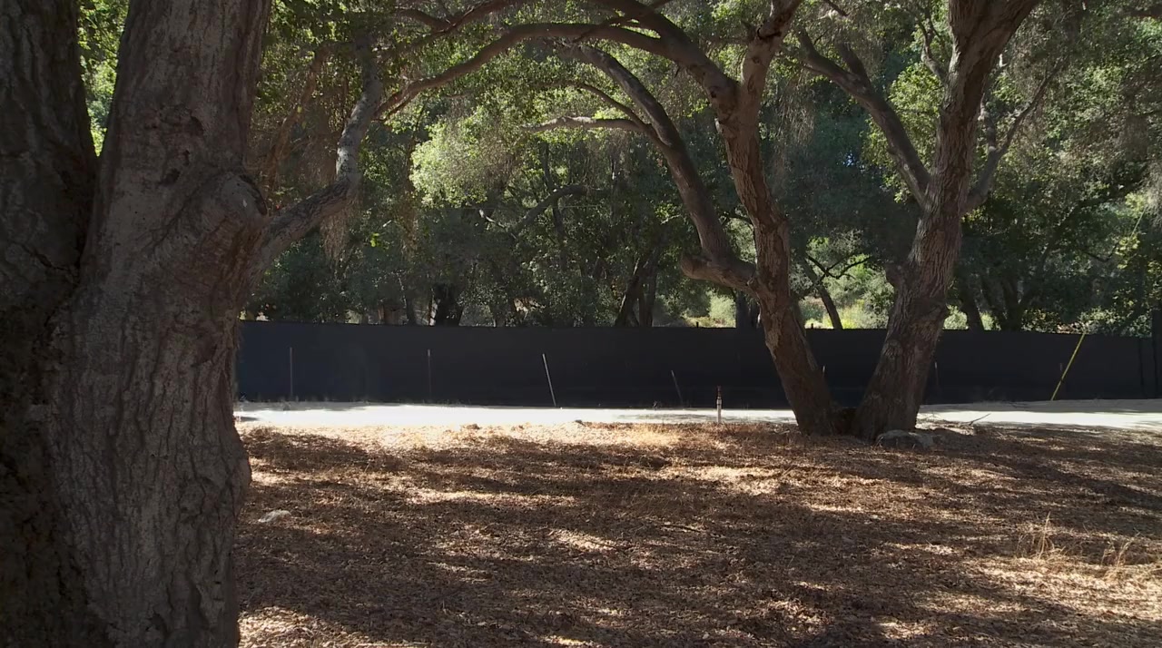 A Doggone Hollywood screenshot 1