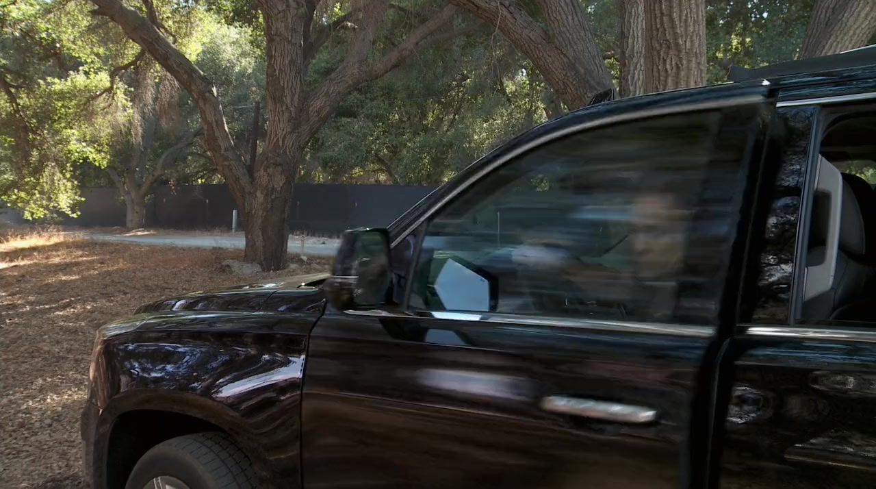 A Doggone Hollywood screenshot 3