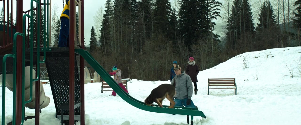 A Dog's Way Home screenshot 2