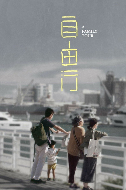 A Family Tour (2018) poster
