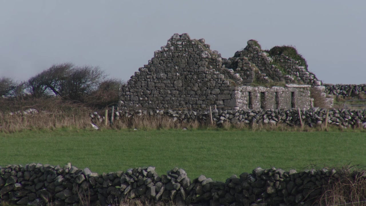 A Fanatic Heart: Geldof On Yeats screenshot 2