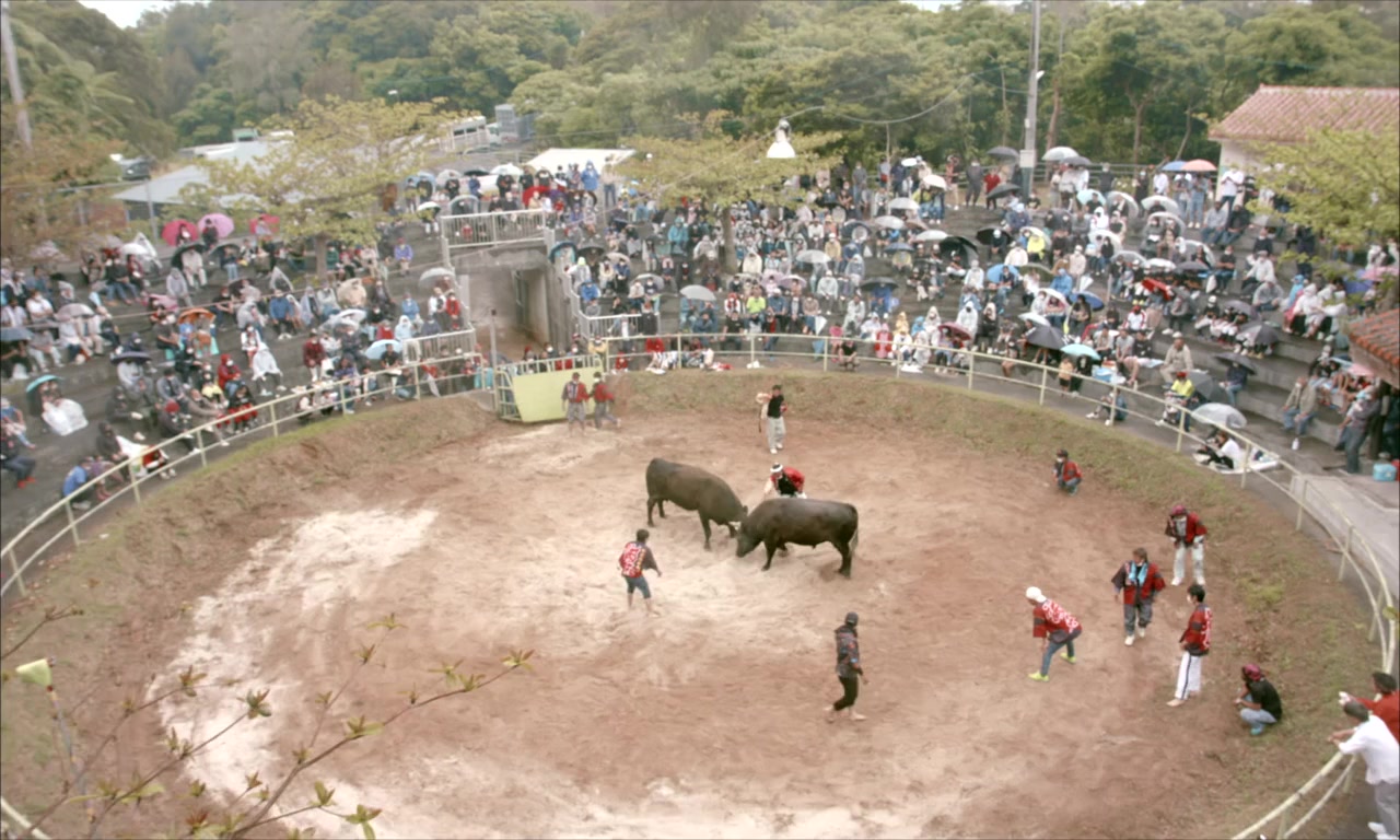 Tôi tokoro screenshot 1