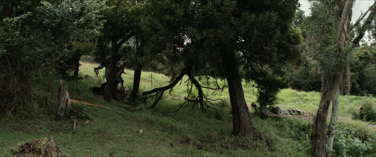 A Father's Miracle screenshot 1
