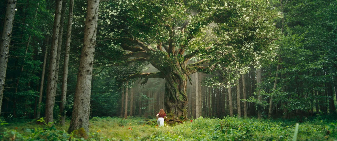 Ein Mädchen namens Willow screenshot 2