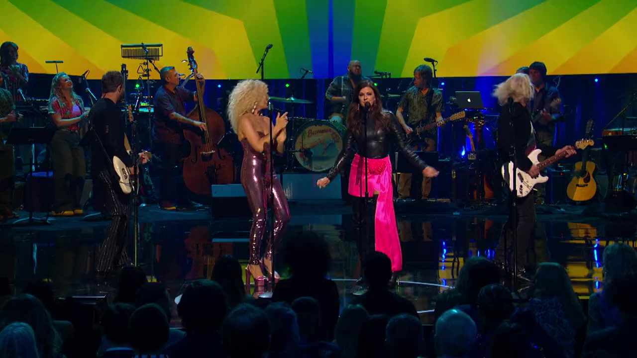 A Grammy Salute to the Beach Boys screenshot 2