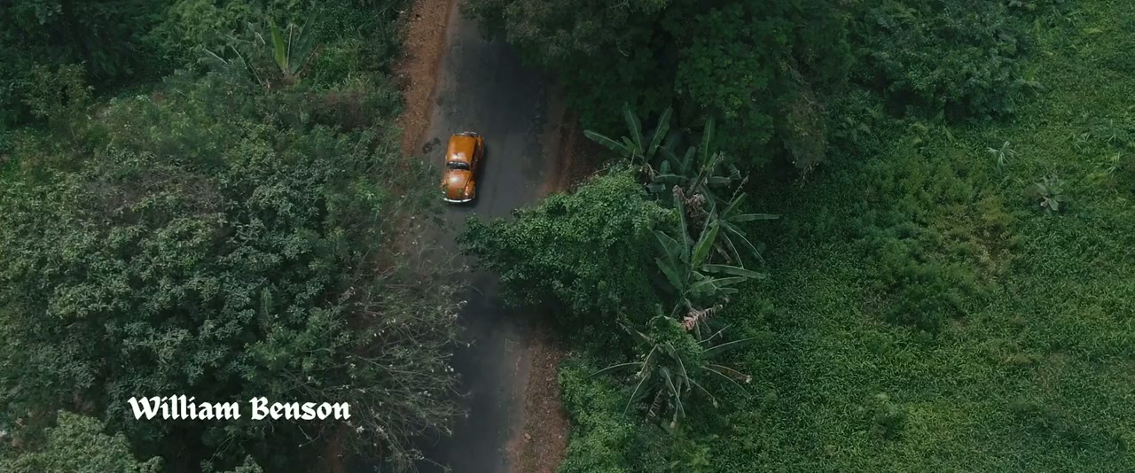 A Green Fever screenshot 1