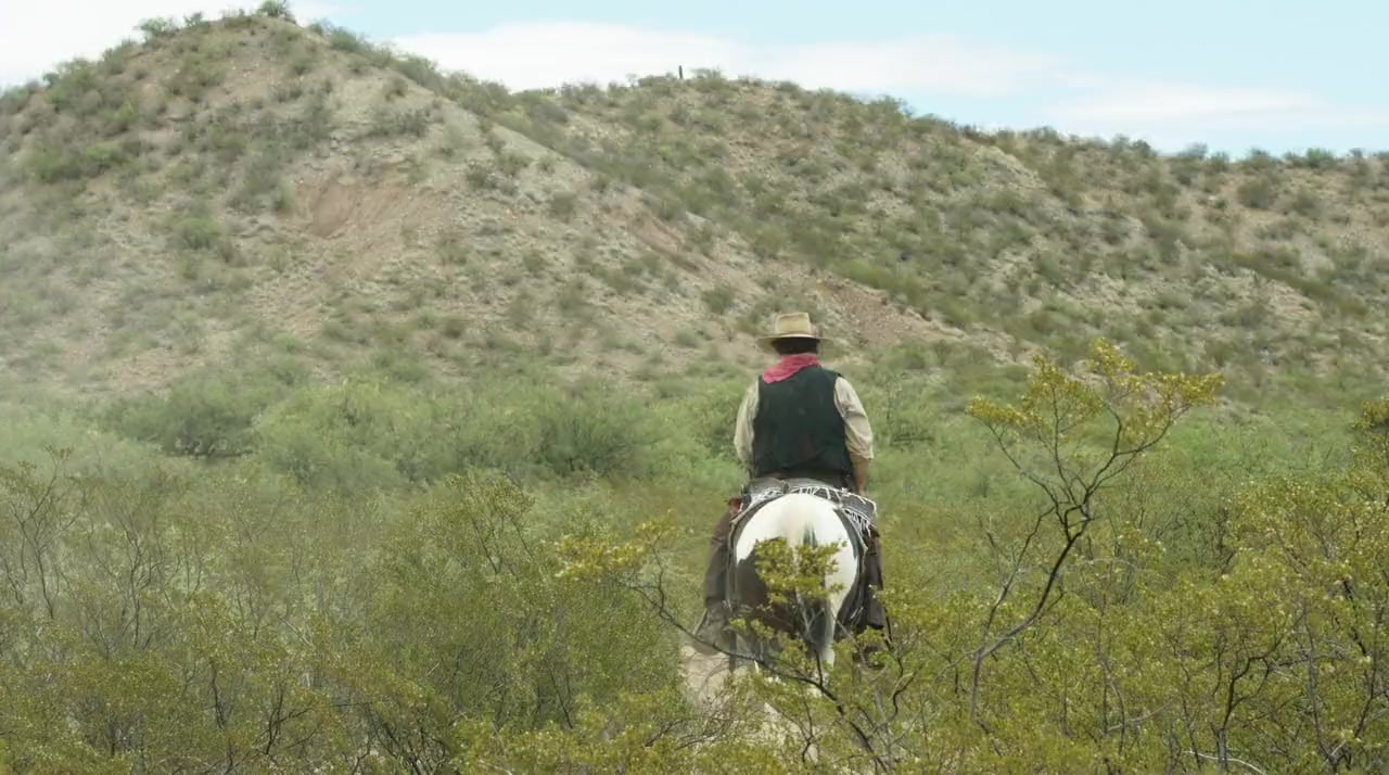 A Guide to Gunfighters of the Wild West screenshot 2